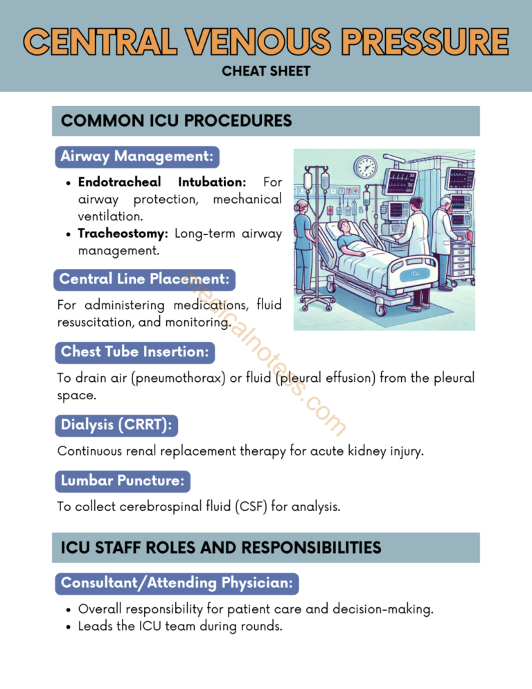 Screenshot 2024-12-17 at 9.35.55 PM